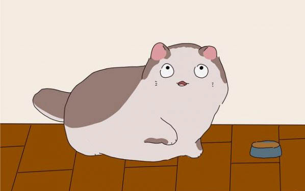 猫咪挠耳朵正常吗
