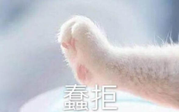 小猫感冒了吃什么药