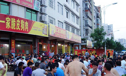 狗狗吃了鸡骨头多久才能确认没事