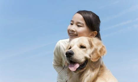棉花面纱犬哪里有卖