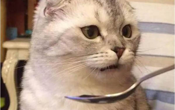 两个月的小猫老是张嘴不叫是怎么回事啊?