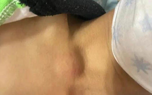 世界上最可爱的狗你知道都有什么