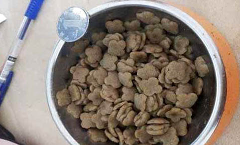 鲜肉狗粮哪个牌子好